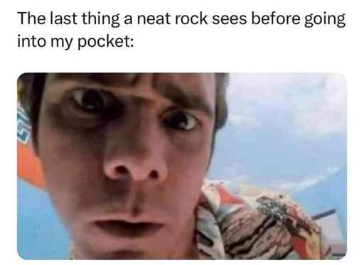 Image says "The last thing a neat rock sees before going into my pocket:" and then shows a close up picture of Jimm Carrey's face.