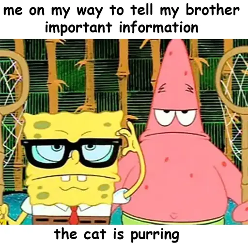 top text: me on my way to tell my brother important information. bottom text: the cat is purring. image between of spongebob and patrick with serious expressions