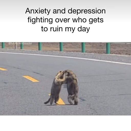 2meirl4irl