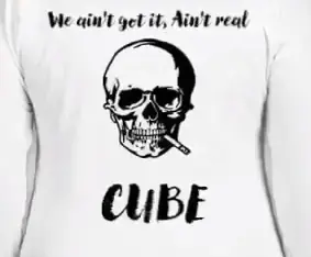 A low resolution photo of a t shirt with a skull smoking a cigarette while closed. The text reads "We ain't get it, Ain't real / Cube"