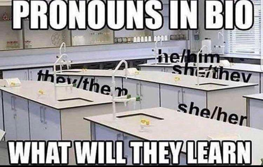 "pronouns in bio what will they learn" but it's just 'she/her' 'he/him' text behind the desk of a biology classroom