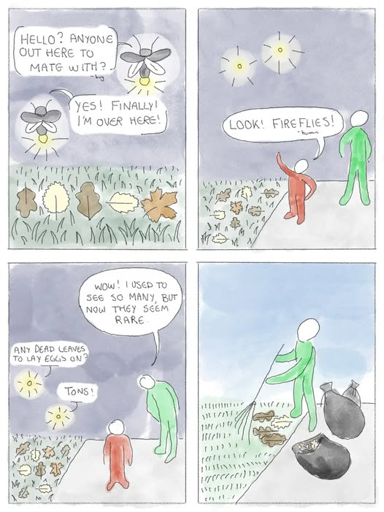 This comic illustrates the decline of fireflies due to human activities. The first panels show fireflies communicating and people appreciating them. However, when a firefly asks about dead leaves for laying eggs, it initially finds plenty. The final panel reveals a person raking and bagging leaves, removing the habitat fireflies need to reproduce. This highlights how well-intended lawn maintenance can harm insect populations.