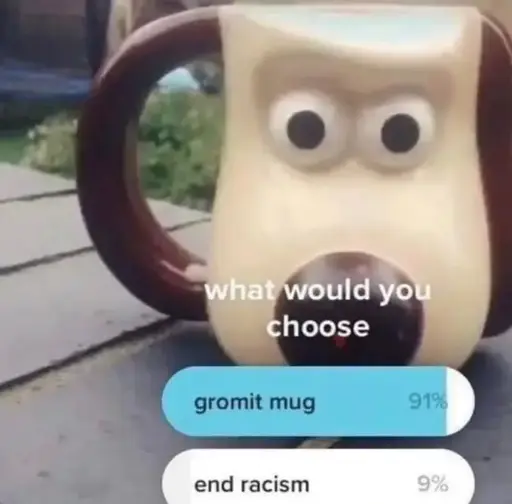 Picture of a Gromit mug with a poll overlaid asking to choose between the Gromit mug and ending racism, with the Gromit mug winning at 91%.