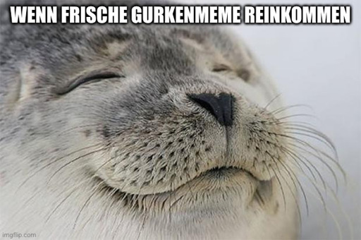 zufriedene Robbe: "Wenn frische Gurkenmeme reinkommen"