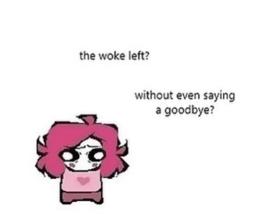 A character wearing a pink shirt with a heart on it, with long pink hair, and pink pants, while looking all sad says "The woke left? Without even saying a goodbye?"