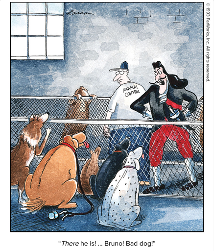 ANIMAL CONTROL