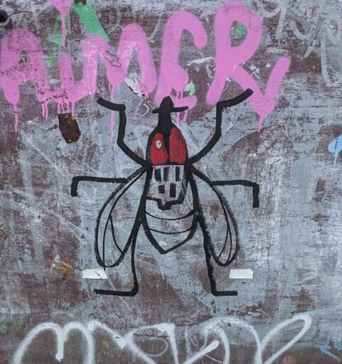 Fly drawn with black marker on already tagged and dirty wall